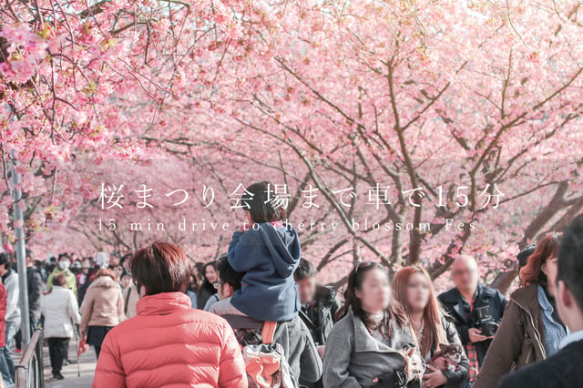伊豆民泊-自家源泉の宿 櫻井邸- 追加写真 2