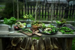 庭では季節の野菜が実り、サラダ野菜や旬の野菜をそのままお料理へ。
