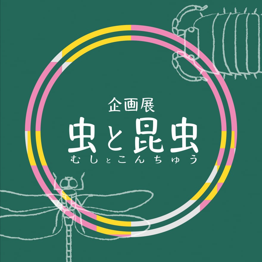 【足立区生物園】「虫」と「昆虫」はどう違う?春の企画展「虫と昆虫」開催中!