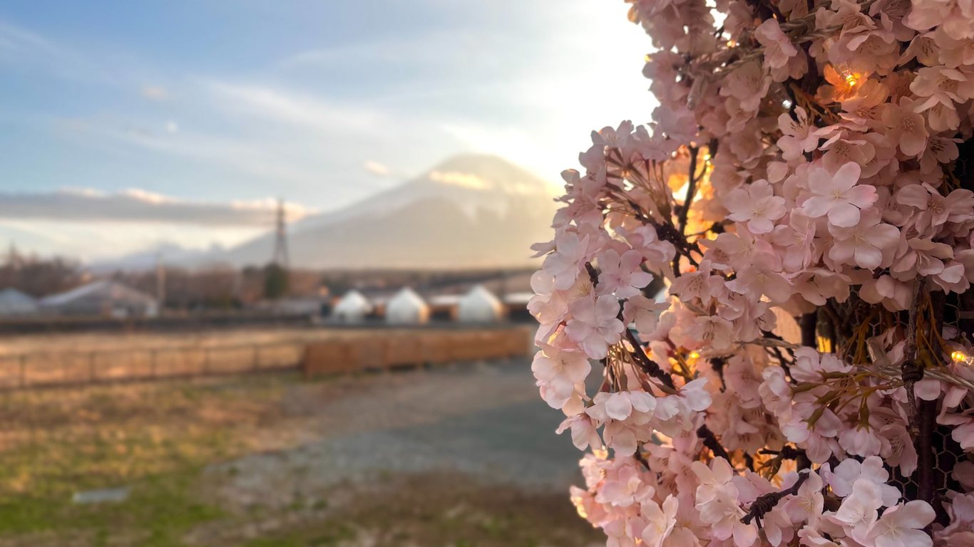 山中湖でホテル以上の贅沢を。桜と富士山を独占するプライベートグランピング