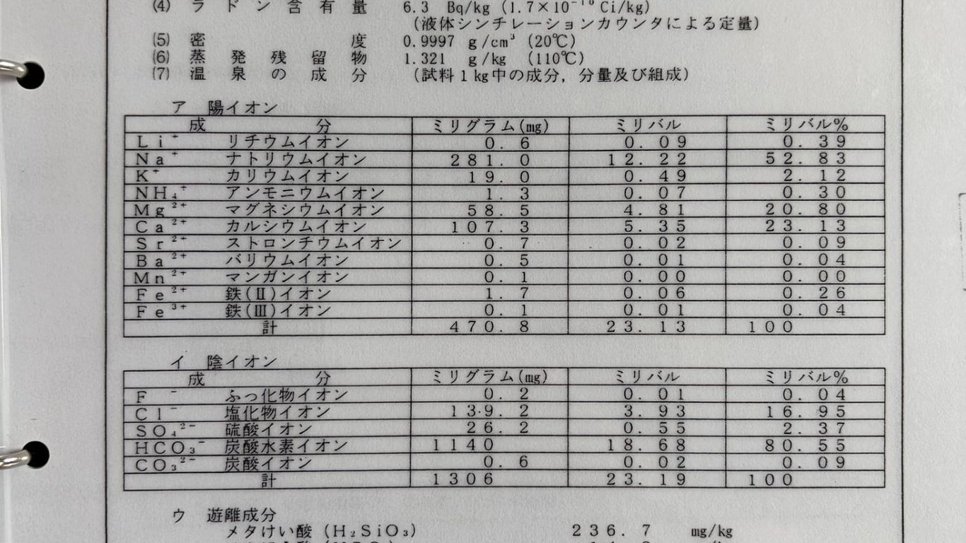 美容成分メタけい酸が豊富。全室源泉かけ流しのプライベート温泉