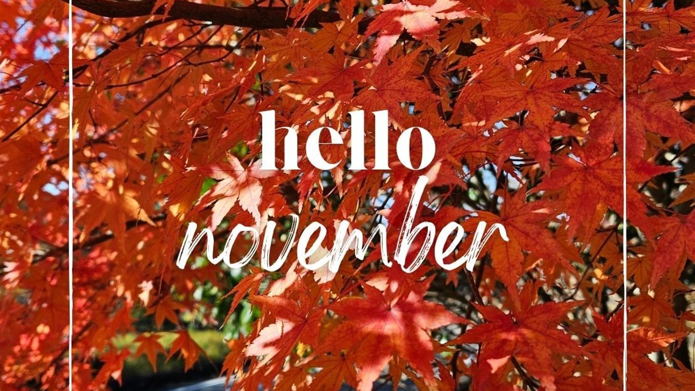11月の予約開始！紅葉シーズンの霧島をプライベート温泉で満喫