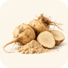 Maca Root Extract