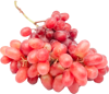Resveratrol