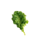 Saw Beta-Sitosterol