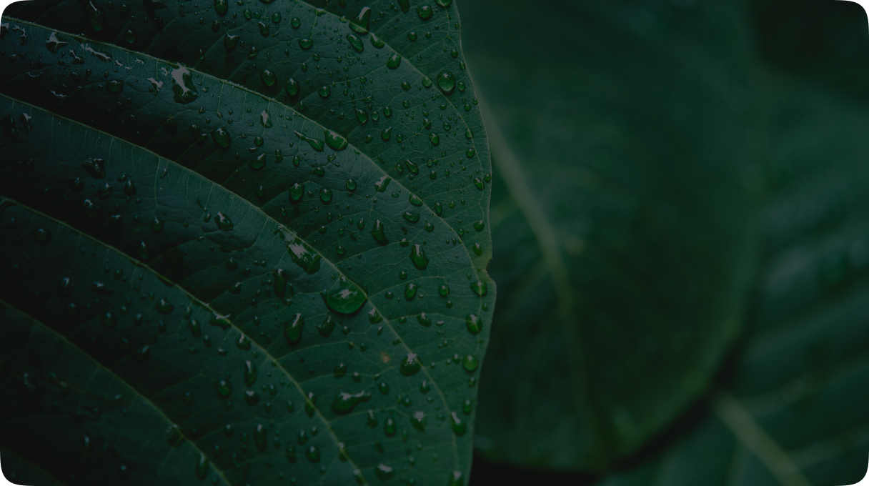 Veluflex Ingredients Extra 2