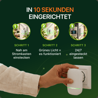 Wattimax in 10 Sekunden eingerichtet