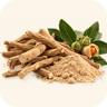 Ashwagandha Extract