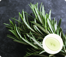 Rosemary Oil
