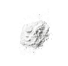 Zinc