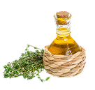 Oil of Oregano