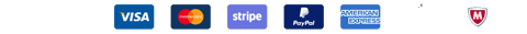 Accepted payment methods and security badges