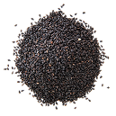 Black Seed Oil