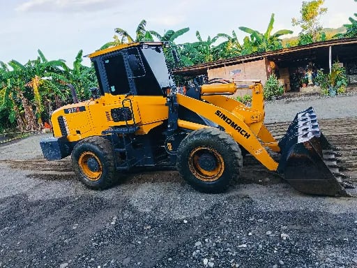 Rosalie Cadornigara's avatar