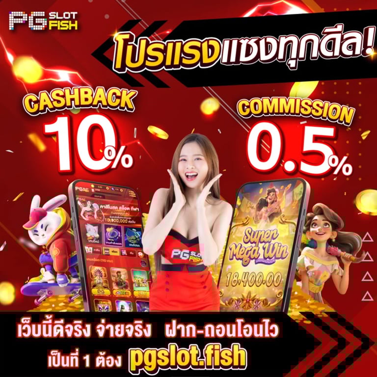 โปรโมชั่น 1