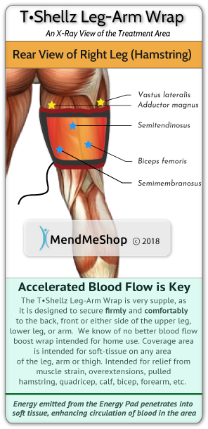 TShellz Wrap Coverage Hamstring