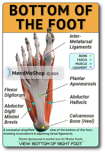 plantar fascia bottom of foot - heat or cold