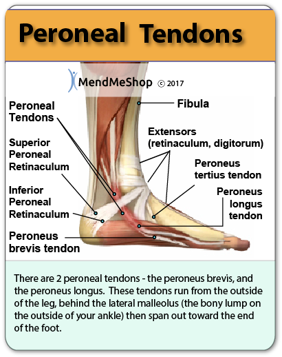 Inner Ankle Pain – Causes and Solutions