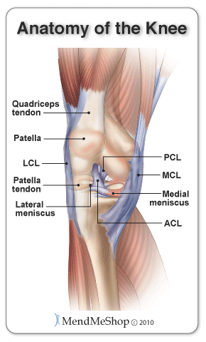 knee sprains painful soft tissue injuries