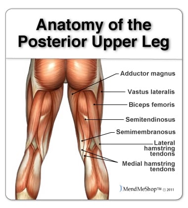 Hamstring Muscle Strain