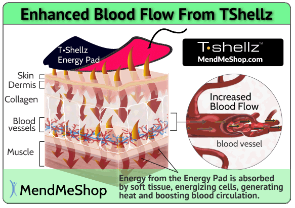 tshellz blood flow soft tissue