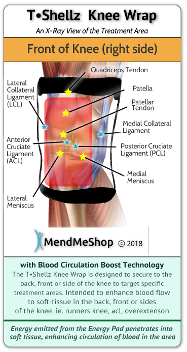 Increase blood flow to meniscus