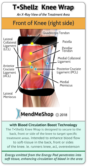 healing your meniscus tear