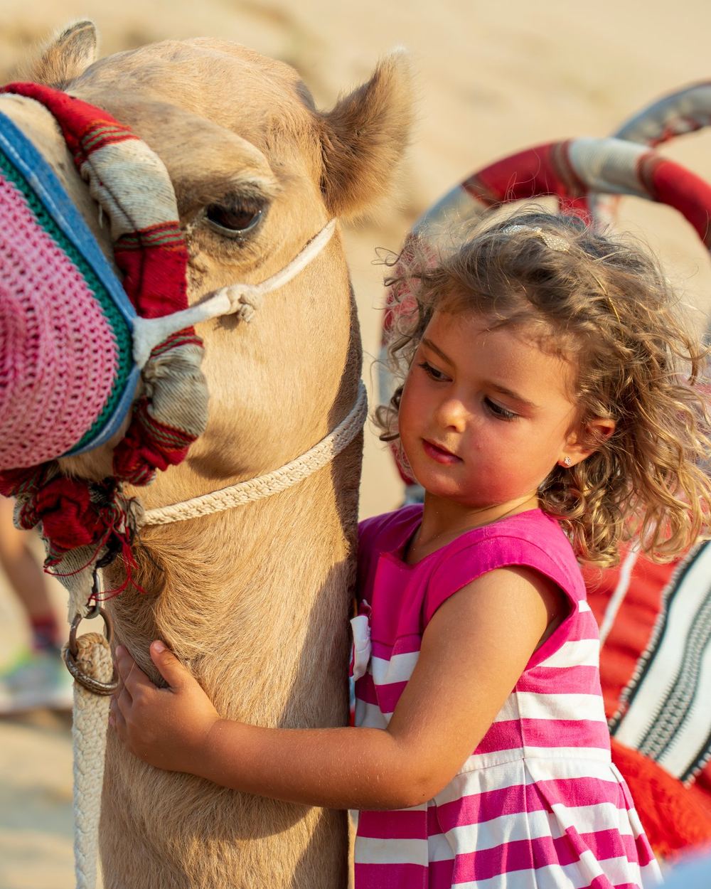 Bedouin Activities — 2
