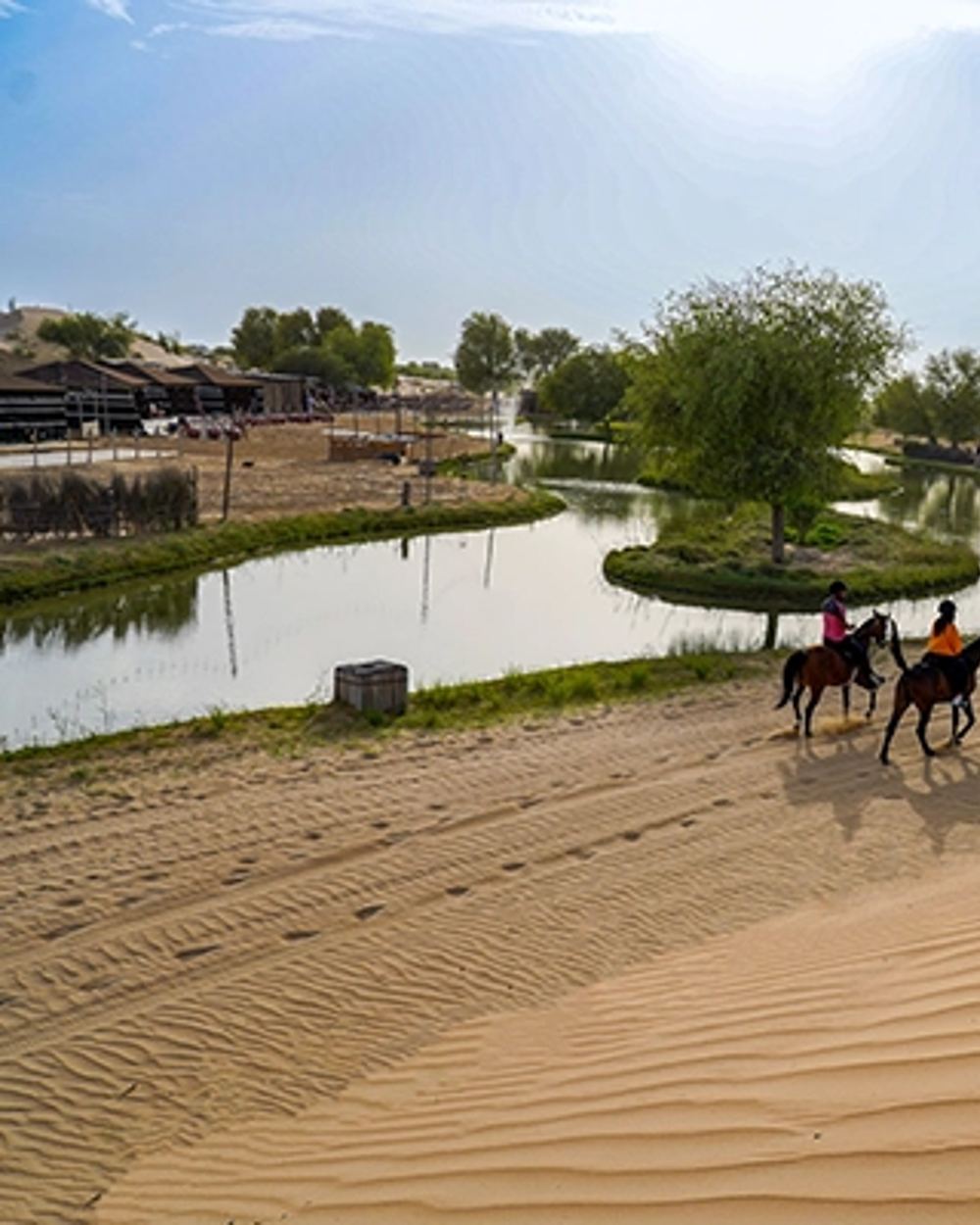 Dubai: Al Marmoom Oasis Horse Riding Experience with BBQ Dinner 