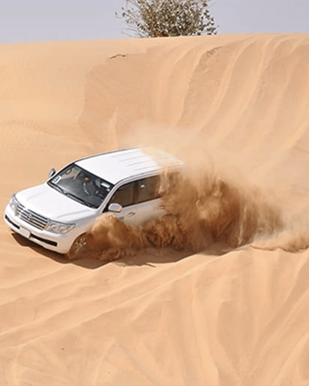 Dune bashing