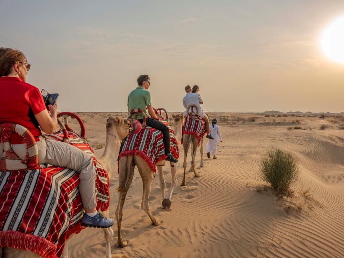 The Longest Camel Ride at Sunset