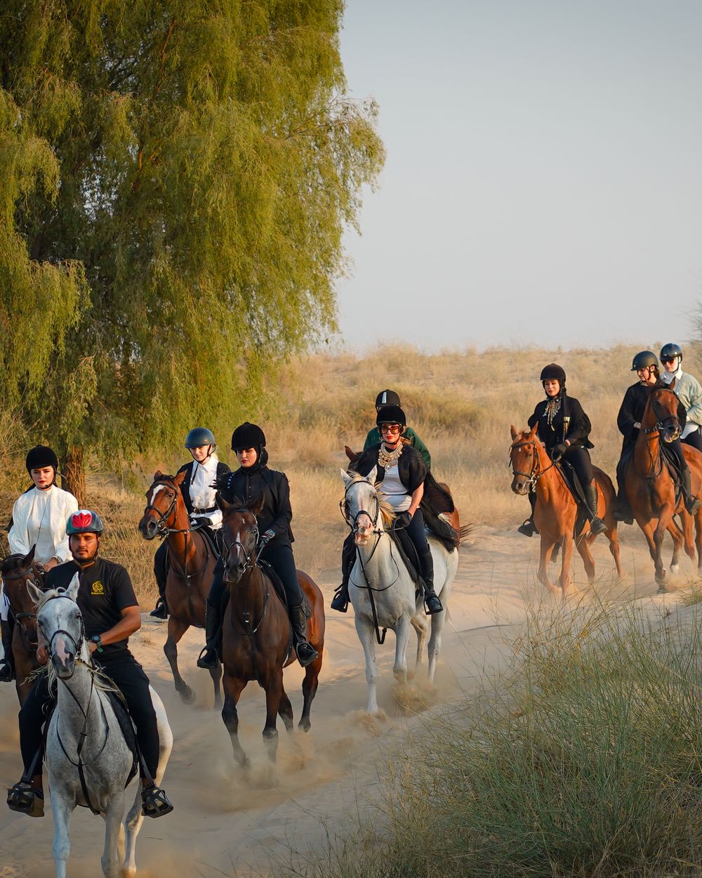 Dubai: Al Marmoom Oasis Horse Riding Experience