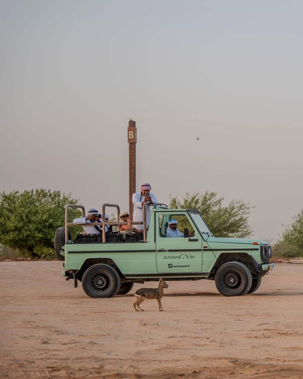 Vintage G-Class Safari & Al Qudra Bird Reserve — 2