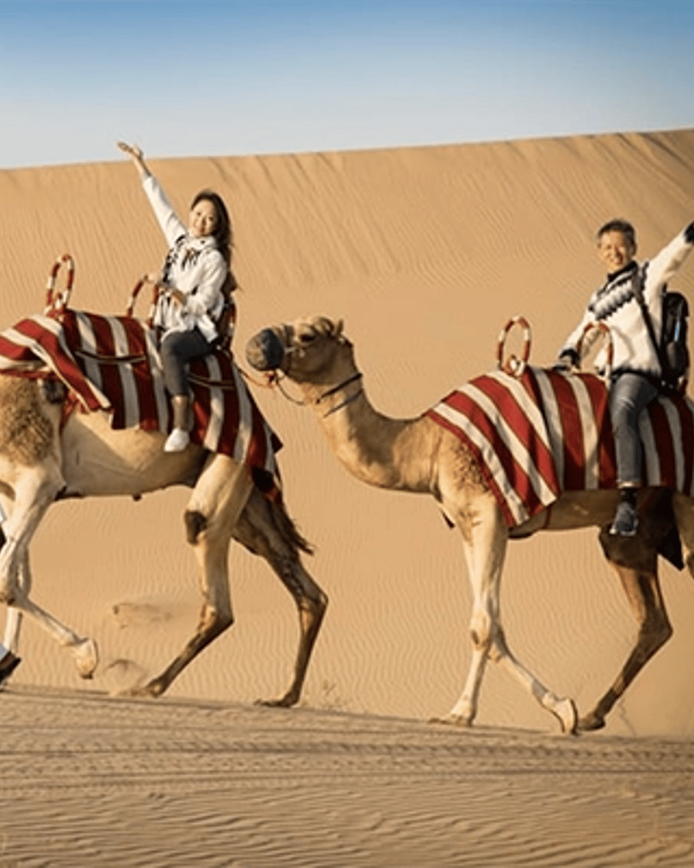 Camel ride