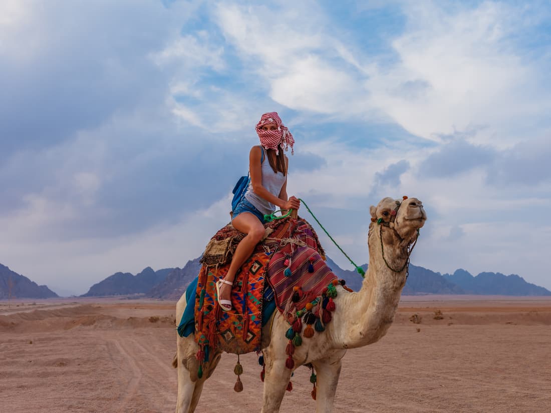 Authentic Bedouin Culture