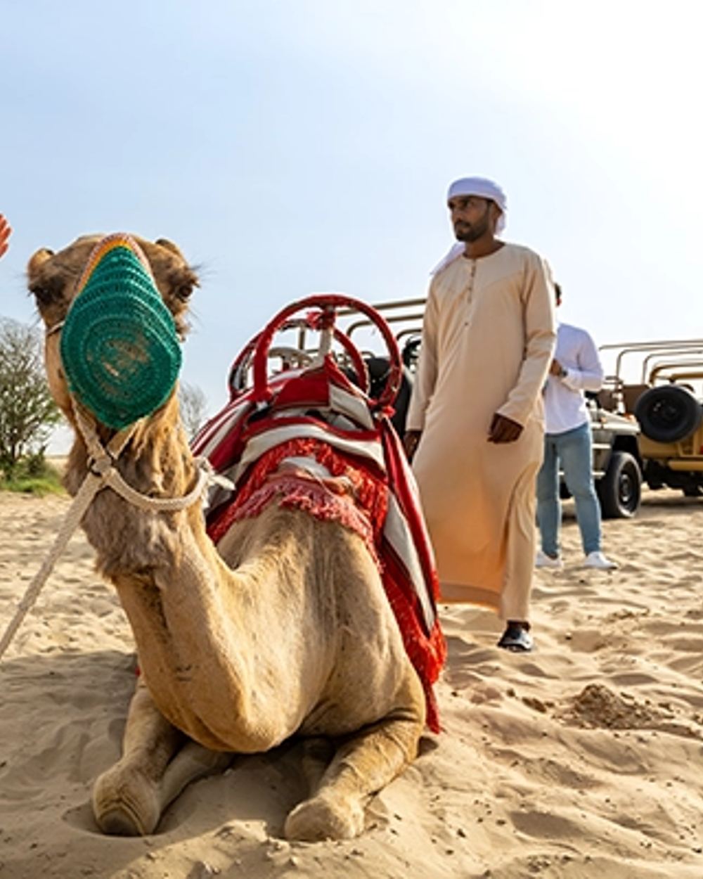 Al Marmoom Oasis Camp — 3