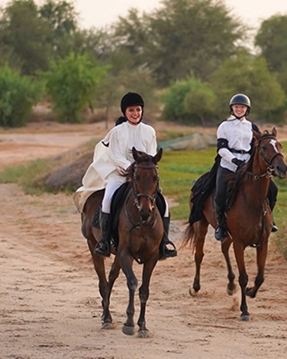 Arabian Horseback Riding — 1