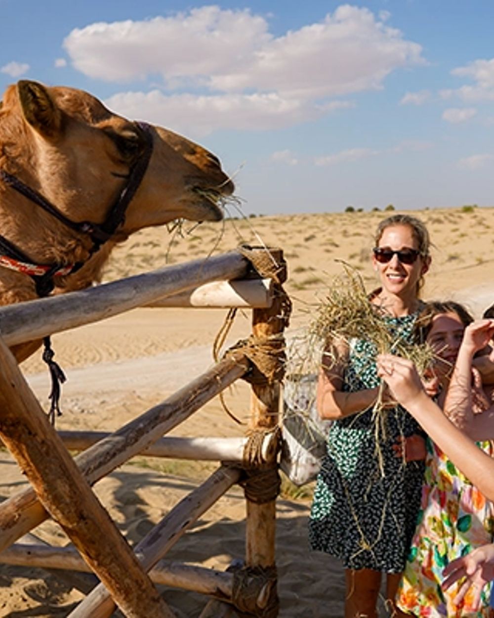 Bedouin Activities — 1
