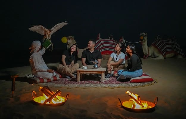 Arabian Night Desert Experience: Camel Ride, Wildlife & Stargazing