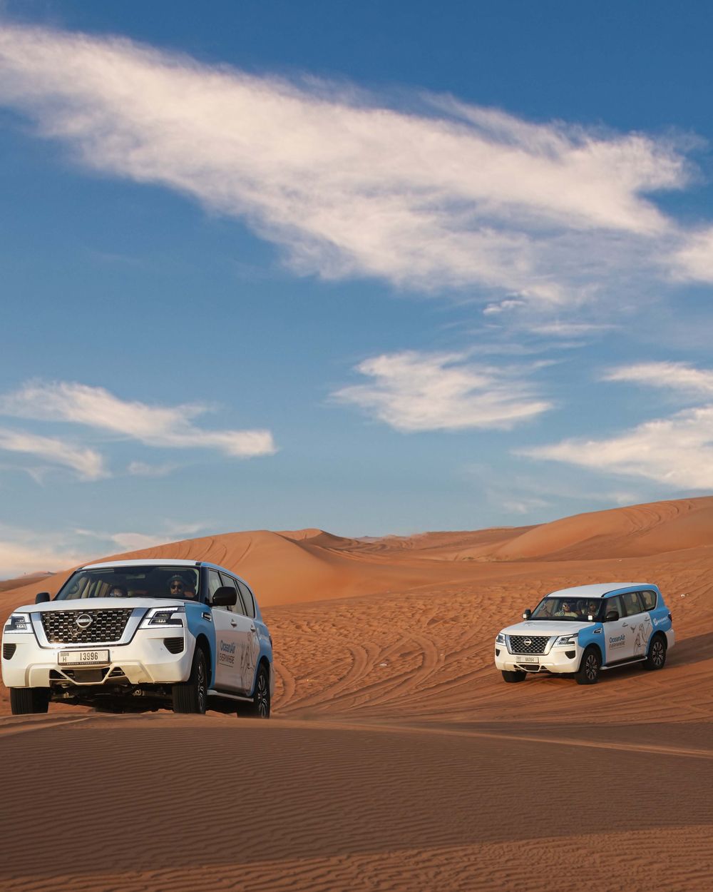 Abu Dhabi: Morning Desert Safari, Camel Ride & Sandboarding