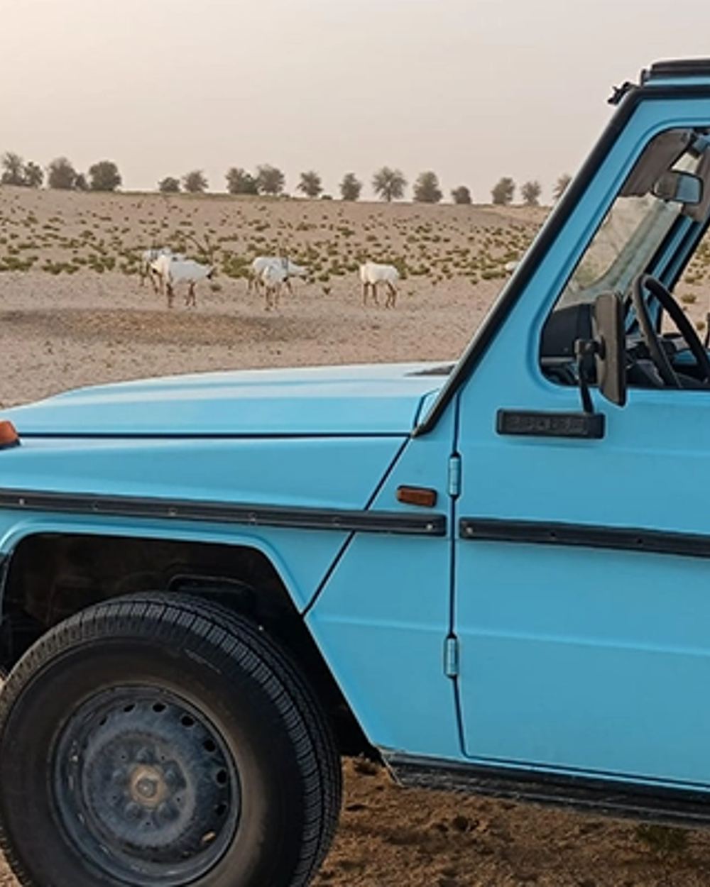 Ride in an open-air Vintage G Class — 1