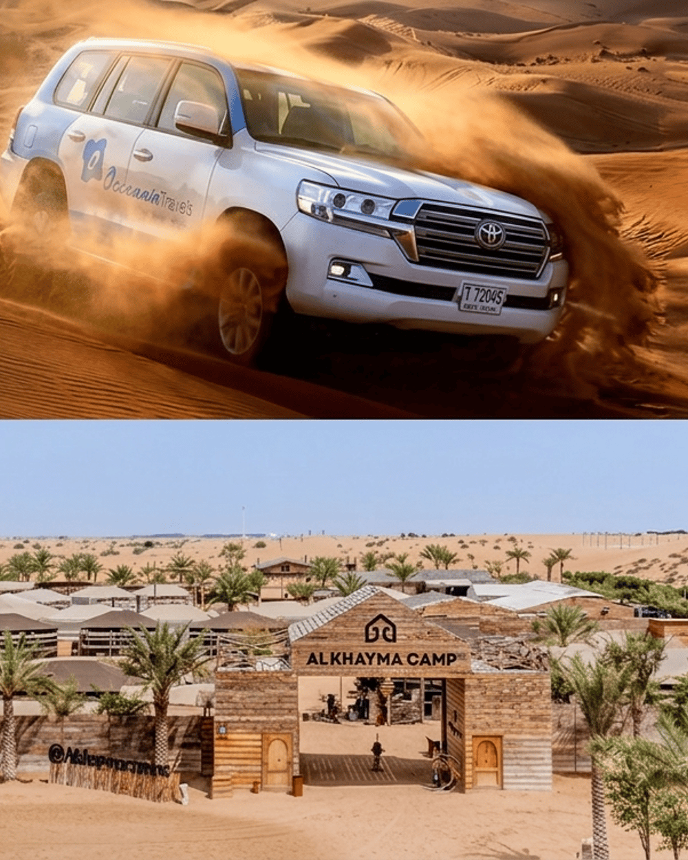Dubai Premium Safari,Camel Ride, Al Khayma Camp & 3-Cuisine Buffet
