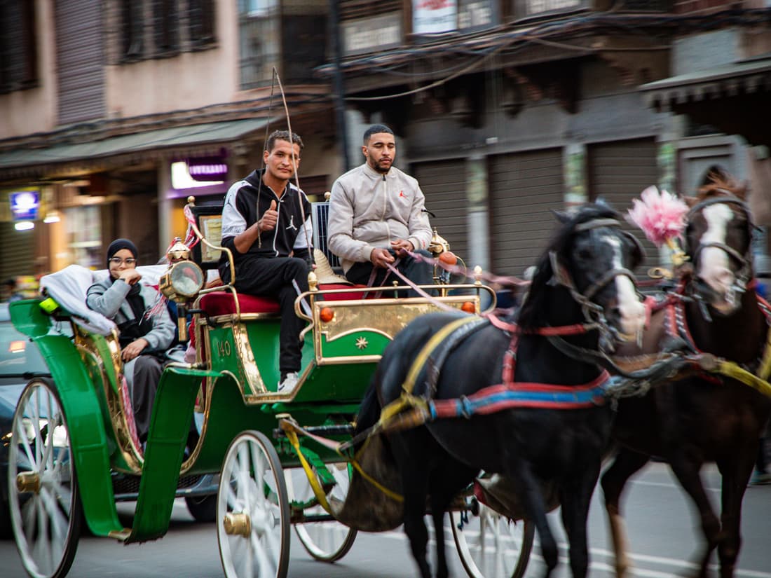 Scenic Carriage Ride