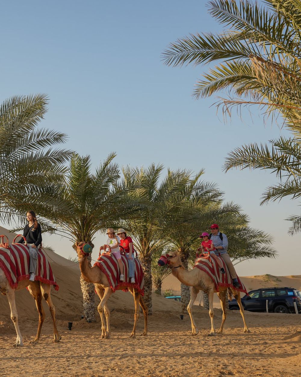 Camel riding & Falcon Show — 1