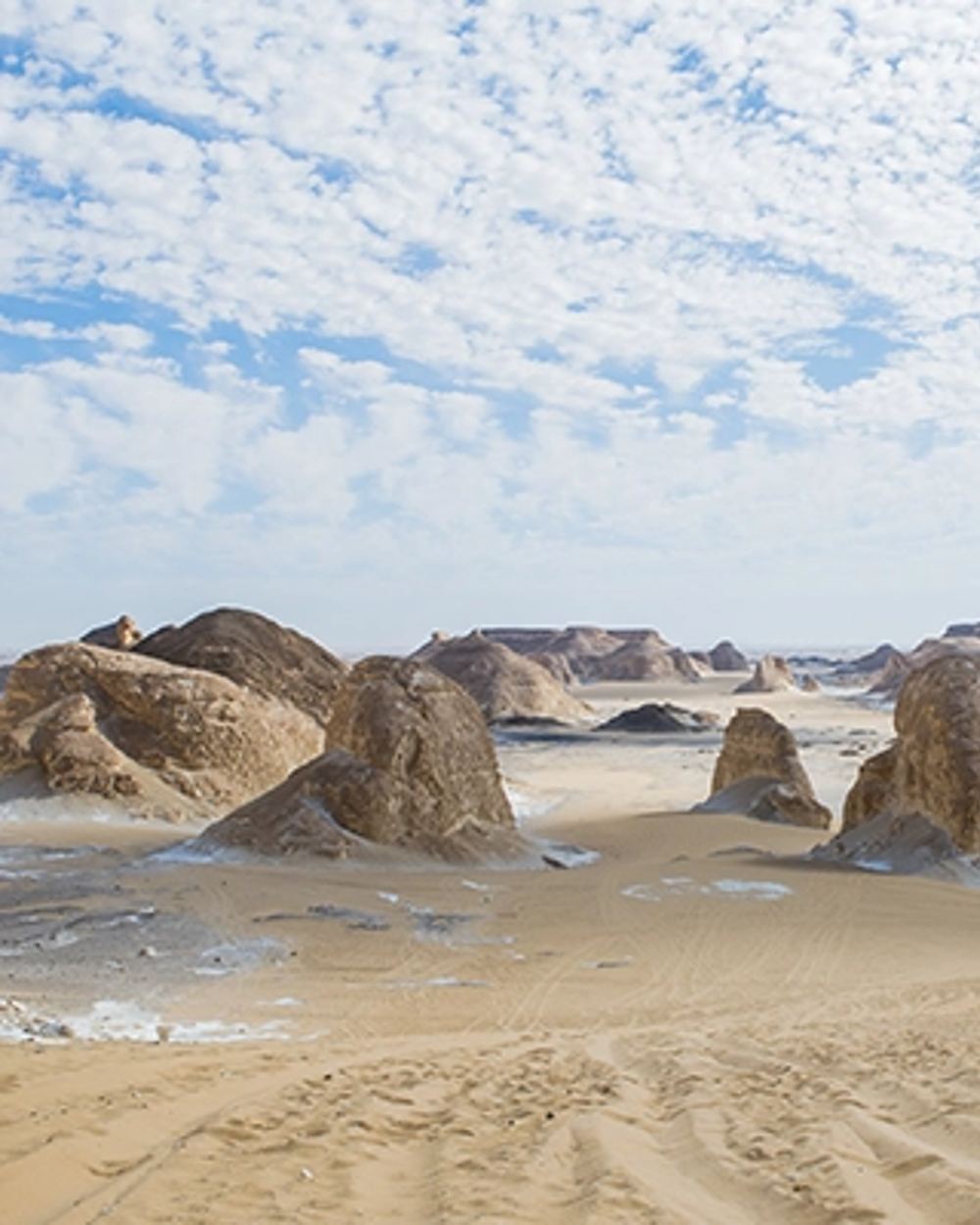 Cairo to Bahariya Oasis, White Desert Tour