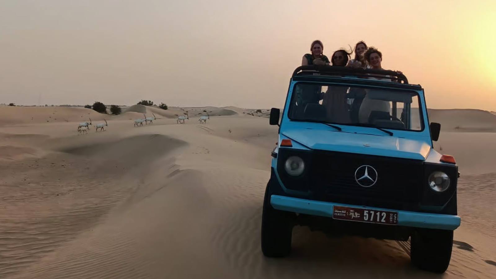 Dubai: Al Qudra Lakes, Animal Spotting & Dinner at Al Marmoom