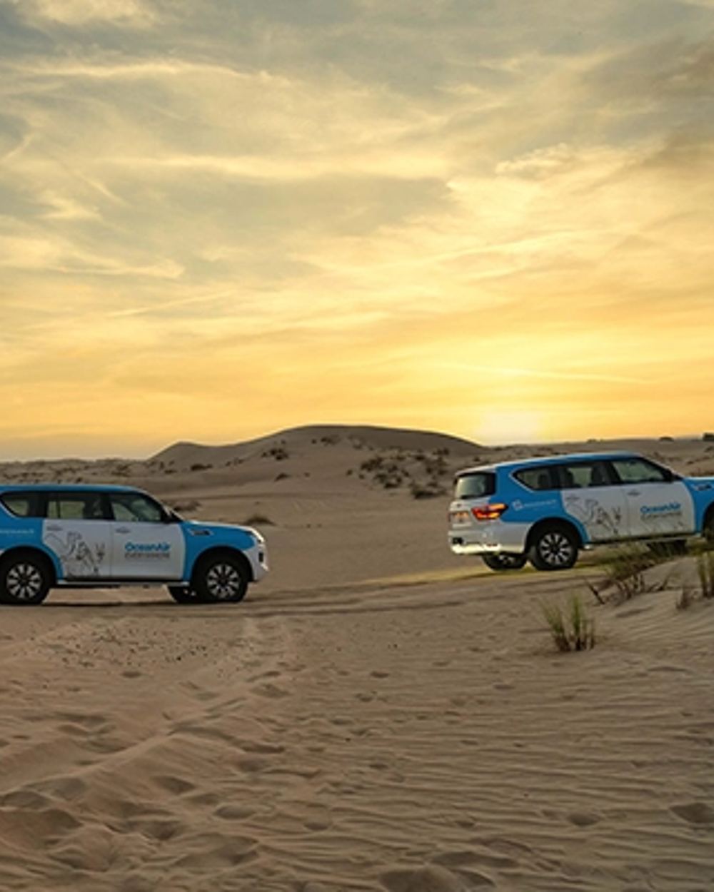 Night dune drive
