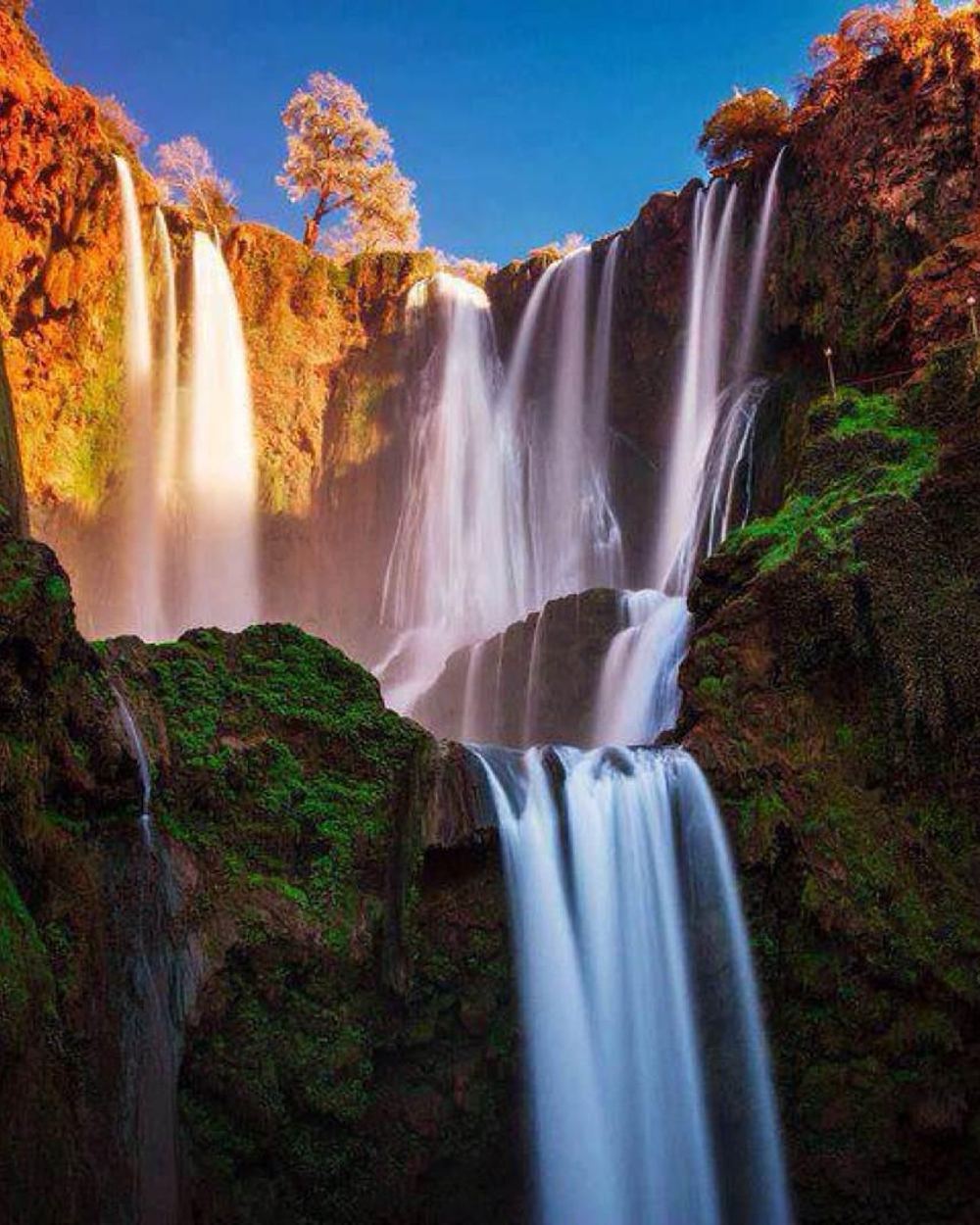 Marrakech: Ouzoud Waterfalls, Boat Ride, Guided Hike & Lunch