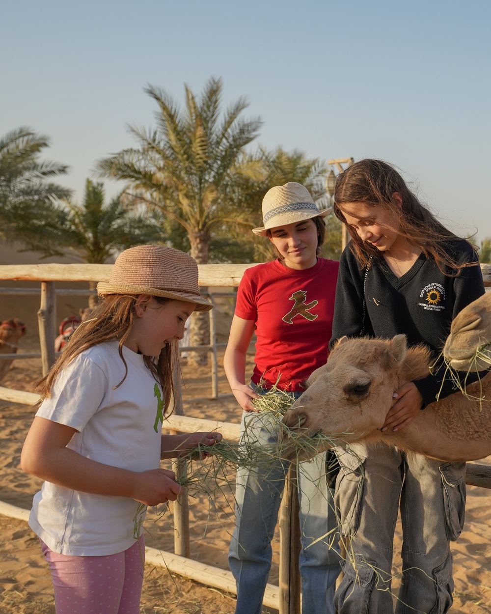 Authentic Bedouin Experiences — 1
