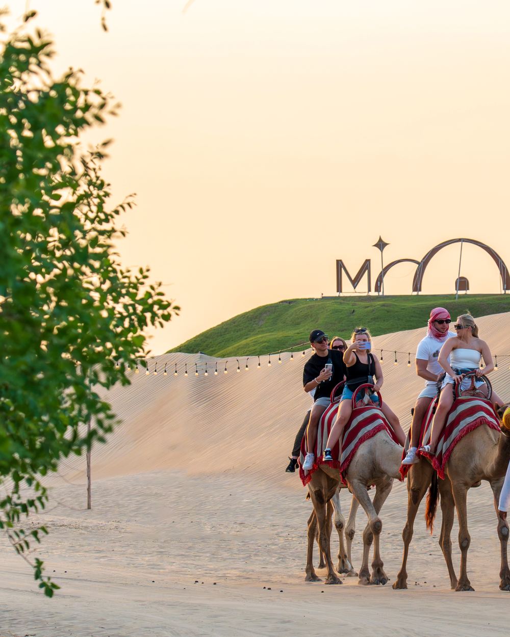Moonlight Lamp-Lit Camel Ride — 1